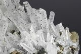 Quartz and Pyrite Association - Pyrite Crystal Inclusions! #178365-3